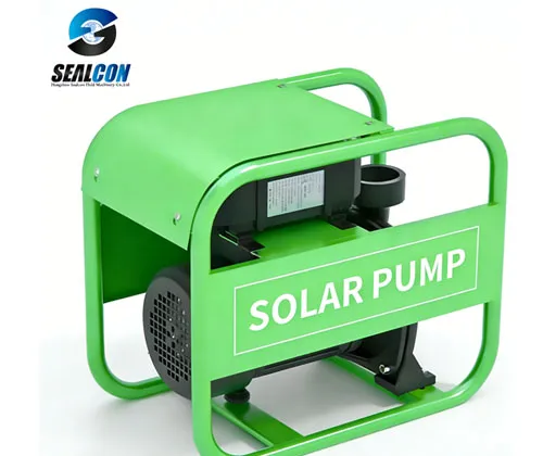 110 V Solar Surface Water Pump